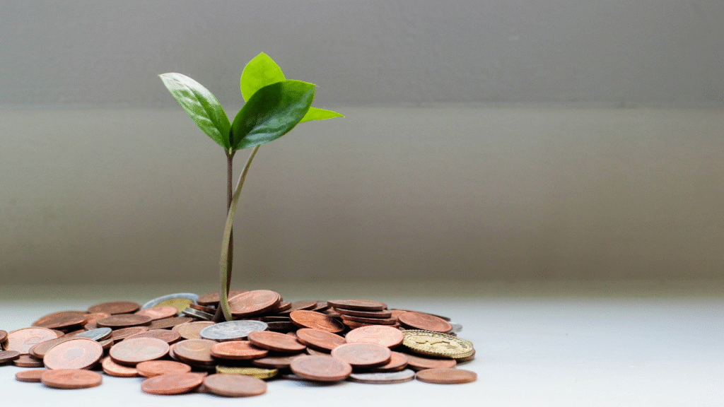 Financial Outlook and Sustainability Concerns